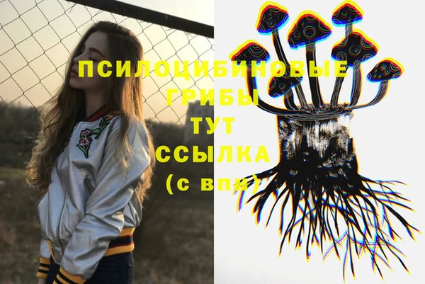 стафф Алексин
