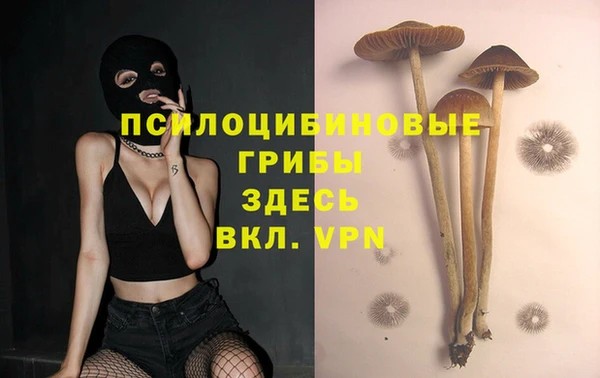 ECSTASY Алексеевка