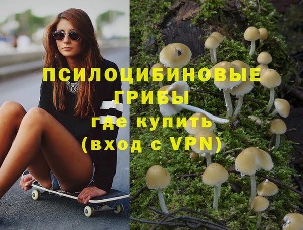 кокс Алзамай