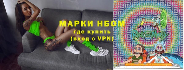 стафф Алексин