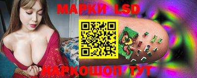 амф Новодвинск