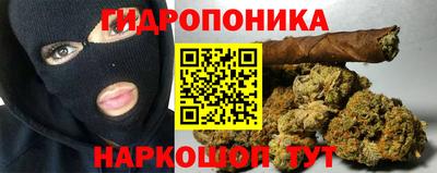 дмт Новозыбков