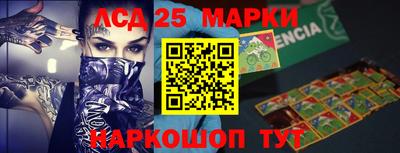 амф Новодвинск