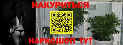 дмт Новозыбков
