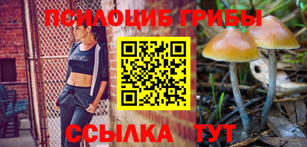 Галлюциногенные грибы мицелий Заинск