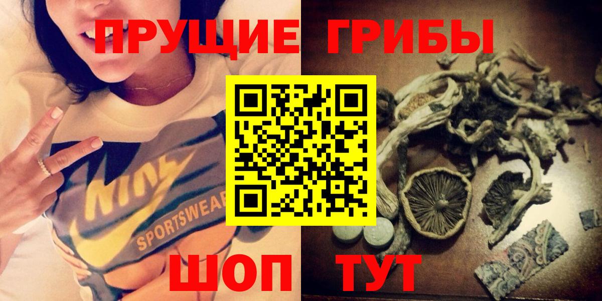 даркнет сайт  Вход с VPN  Заинск  Галлюциногенные грибы мицелий 